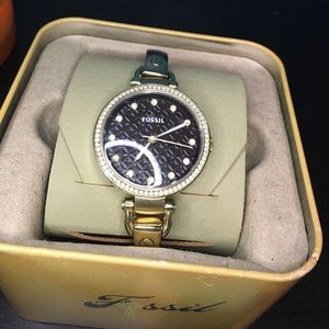 Tortoise fossil watch